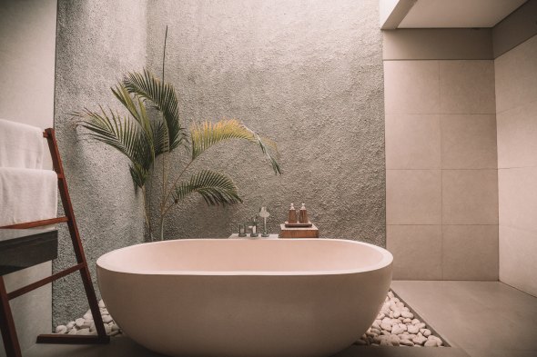 tub, tiles, plant, bathroom